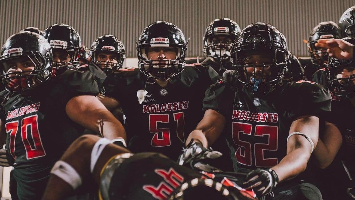 ELITE J3 : LES MOLOSSES VEULENT LANCER LEUR SAISON