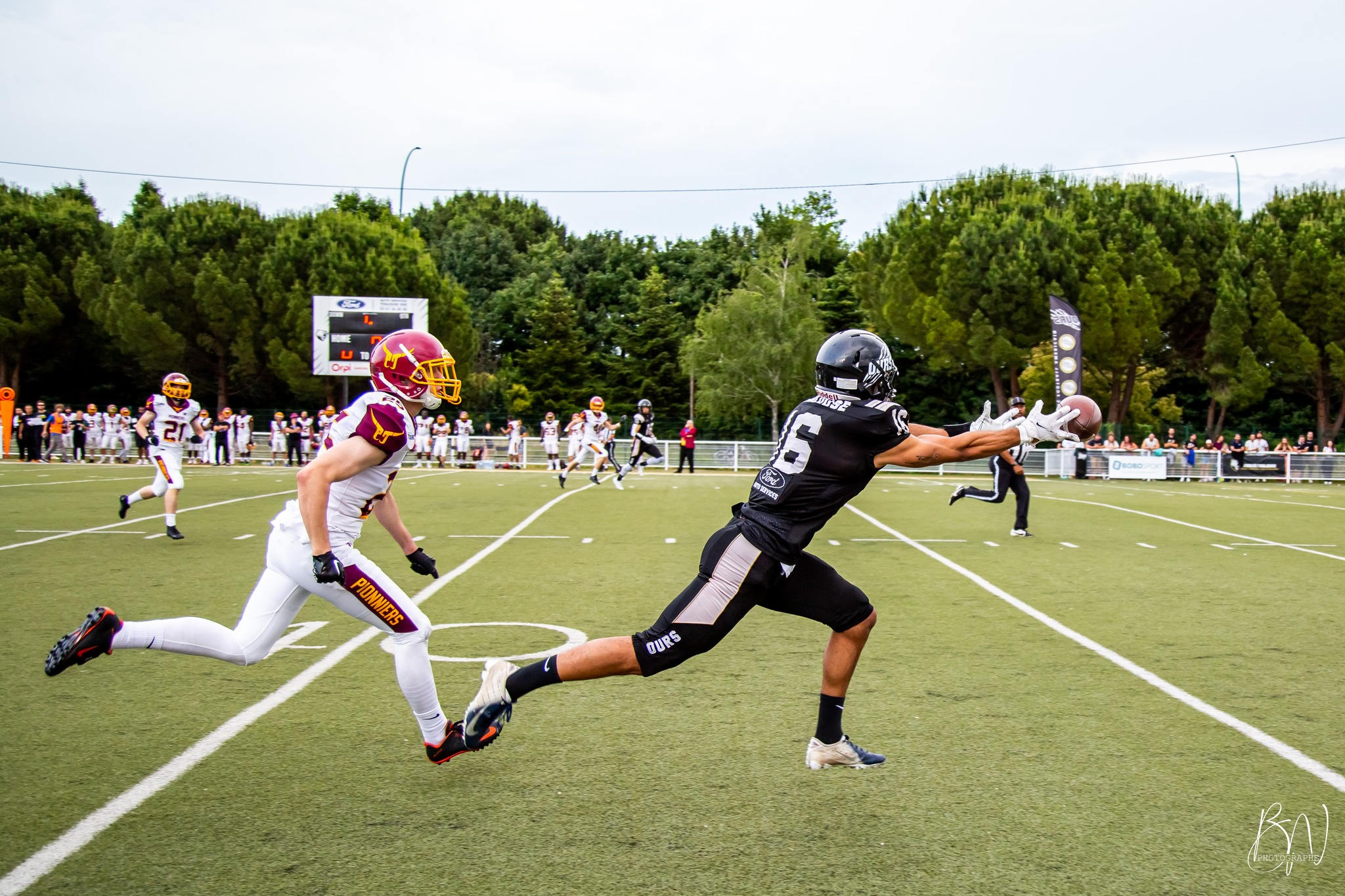 CHAMPIONNAT ÉLITE : RÉCAP WILD CARD