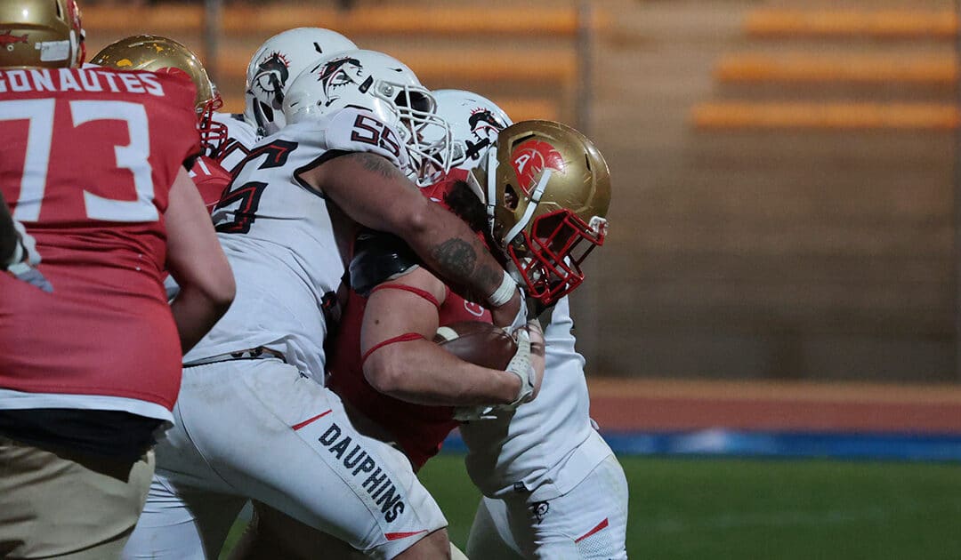 D1 – LE RÉSUMÉ DE LA WEEK 8