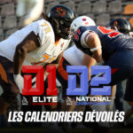 D1 & D2 : LES CALENDRIERS DÉVOILÉS