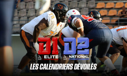 D1 & D2 : LES CALENDRIERS DÉVOILÉS