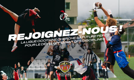 LA LIGUE D&rsquo;OCCITANIE RECRUTE SON/SA FUTUR.E CHARGÉ.E DE MISSION DÉVELOPPEMENT